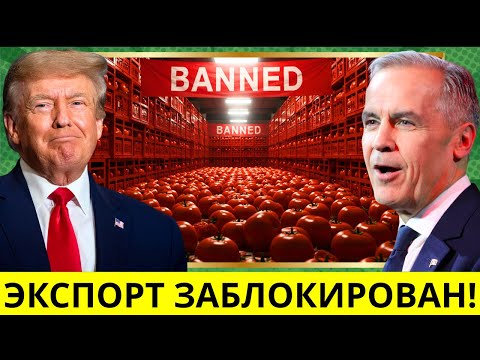 Видео: США ТЕРЯЮТ РЫНОК ТОМАТОВ после запрета Канады и миллиардной сделки Мексики! Насколько далёким будет.