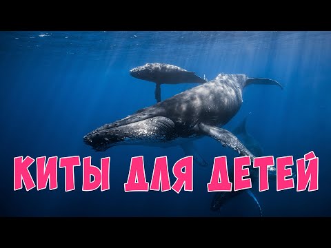 Видео: Киты для детей | Развивающие видео для детей | Карточки Домана