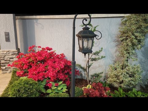 Видео: НОВЫЙ МИКС БОРДЕР в моем саду!