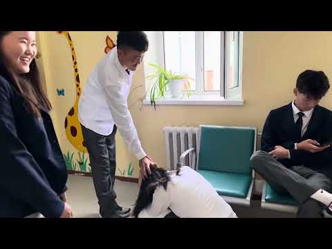 Видео: 9-р сарын влог 🍂🍁