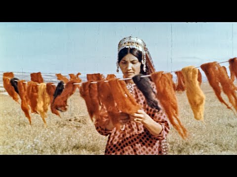 Видео: Краски, которые дарит природа, 1976