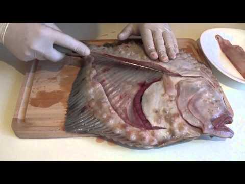 Видео: Как се филетира Калкан — Кулинарно училище — Нахрани.ме