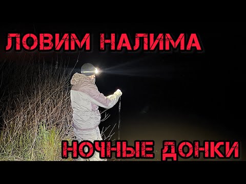 Видео: ДОНКИ на ОКЕ ЛОВИМ НАЛИМА НОЧЬЮ