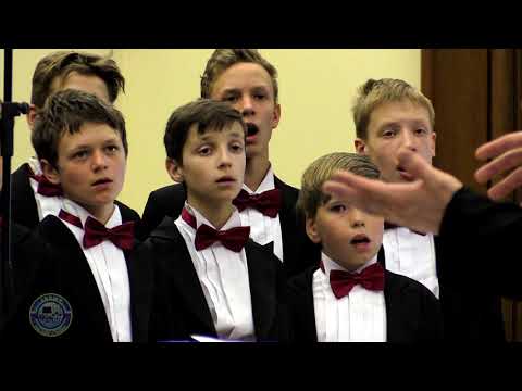 Видео: Журавли - Cranes - Moscow Boys' Choir DEBUT