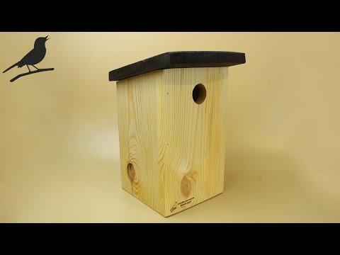 Видео: Синичник. Правильные размеры и особенности конструкции
