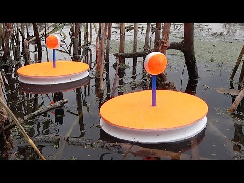 Видео: РЫБАЛКА на ЖИВЦА и КРУЖКИ ОСЕНЬЮ!!! ЛОВЛЯ ЩУКИ на УЛЬТРАЛАЙТ река Северский Донец