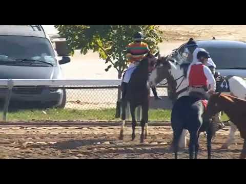 Видео: **ГОНКА 3, ЧЕРЧИЛЛЬ-ДАУНС, 5 НОЯБРЯ 2025 ГОДА