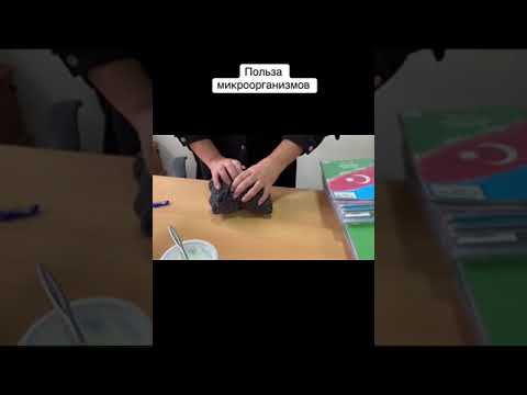 Видео: Закваска кефира