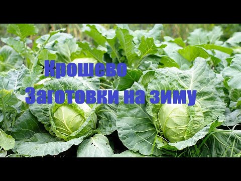 Видео: КРОШЕВО ИЛИ СЕРАЯ КАПУСТА! ЗАГОТОВКИ #на_кухне_с_Татьяной_Афанасьевой