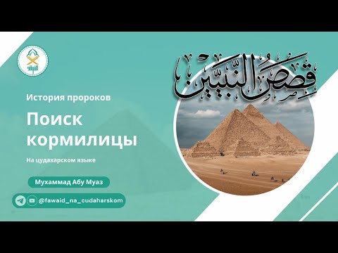 Видео: 19) Поиск кормилицы для Мусы