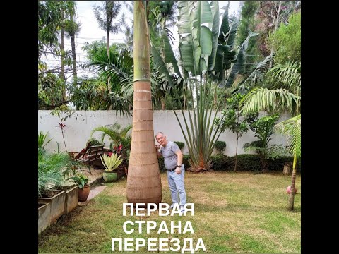 Видео: Первая страна переезда