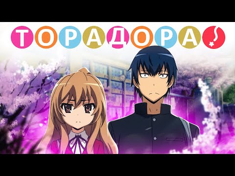 Видео: Торадора! Большие проблемы маленьких школьников [Обзор аниме]