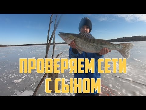 Видео: Проверяем сети с сыном | Winter fishing with nets