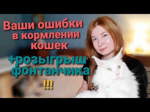 Видео: Ошибки в кормлении кошек/РОЗЫГРЫШ ФОНТАНЧИКА!