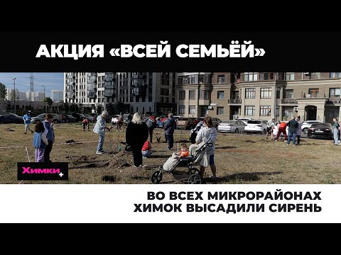 Видео: ВО ВСЕХ МИКРОРАЙОНАХ ХИМОК ВЫСАДИЛИ СИРЕНЬ