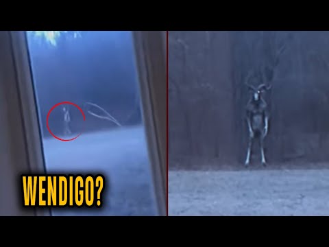 Видео: Вендиго ЗАБРАЛО НАШЕГО ДРУГА в ЛЕСУ. Ужасная История Встречи с ВЕНДИГО