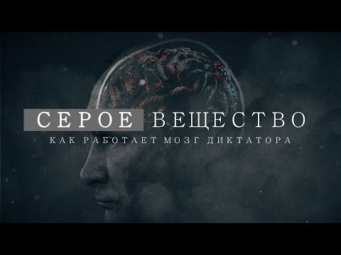 Видео: Как наука объясняет развращение властью: что происходит с мозгом и психикой лидеров