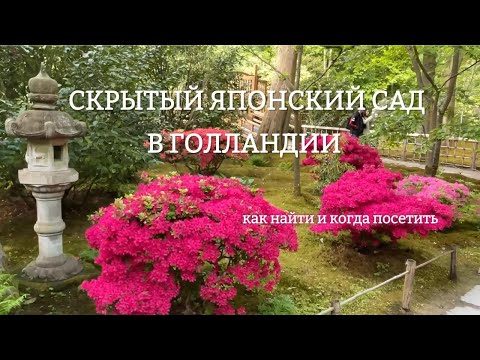 Видео: Древний и самый настоящий Японский сад в Голландии!