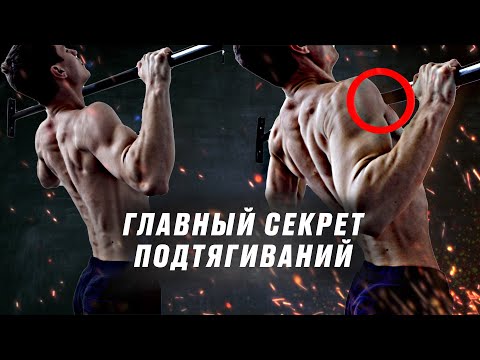 Видео: Как стать МАСТЕРОМ подтягиваний? Главный секрет!