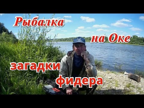 Видео: Рыбалка на фидер в Тарусе. Ока, июль.