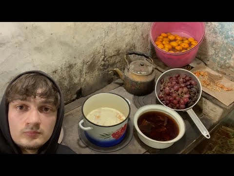 Видео: ВИТАМИННОЕ НАСЫЩЕНИЕ ОРГАНИЗМА | ДАРЫ С БАЗЫ
