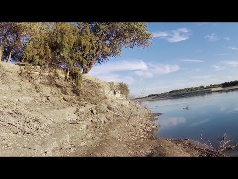 Видео: Сырдарья, РЫБА ЕЩЕ КЛЮЁТ! 7-10 октября 2025 г.