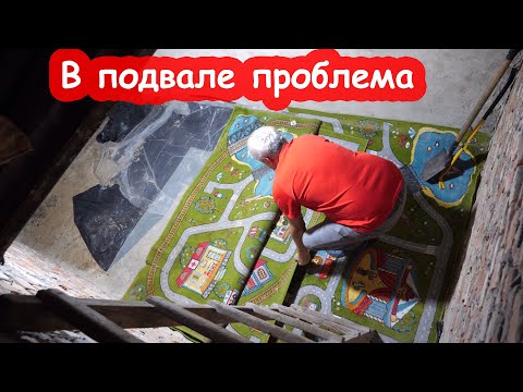 Видео: VLOG Всё оказалось хуже, чем я думала