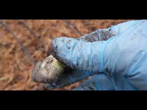 Видео: Опять релакс и красотища.