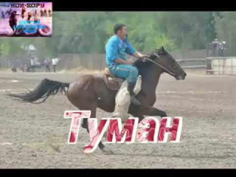 Видео: Кулук аттар