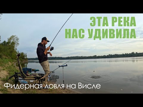 Видео: Огромное разнообразие рыбы на реке Висла / Фидерная ловля на реке / Ловля леща