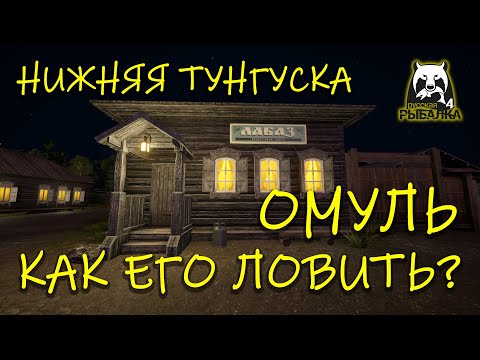 Видео: Русская рыбалка 4. рр4. Нижняя тунгуска. Омуль. Как его ловить.