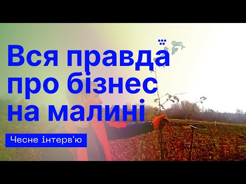 Видео: Заробляти гроші на вирощуванні малини. Як правильно вирощувати малину, щоб добре заробляти.