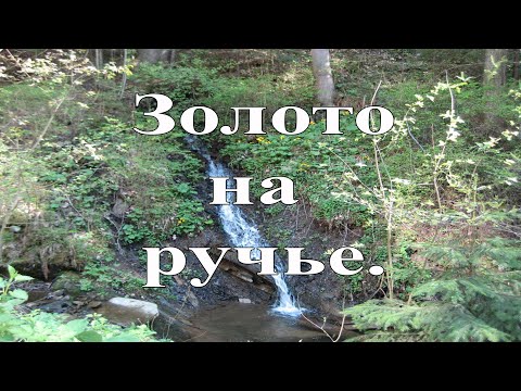 Видео: Золотой песок на лесном ручье.