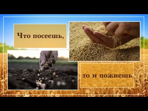 Видео: Проповедь  «Что посеешь, то и пожнёшь» — Андрей П. Чумакин