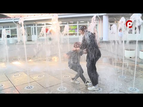 Видео: Что вижу, то пою. Выпуск №239