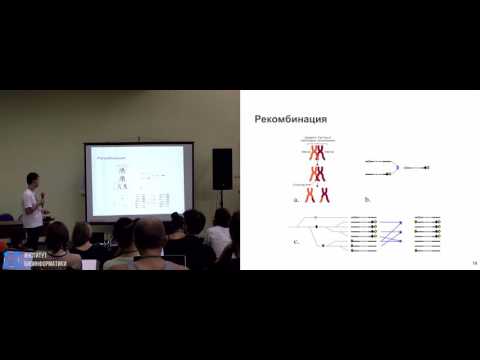 Видео: Основы популяционной генетики (Михаил Колмогоров, UCSD). Летняя школа по биоинформатике.