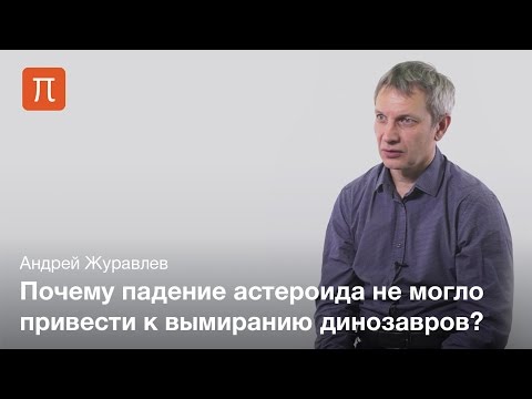 Видео: Динозавры и падение астероида — Андрей Журавлев