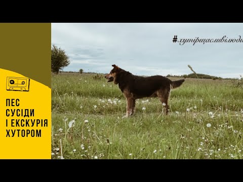 Видео: Куди приведе екскурсія нашим хутором і пес-посміхака🐾