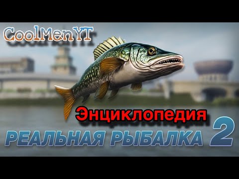 Видео: Реальная рыбалка 2! Что нас ждёт в новом обновлении?