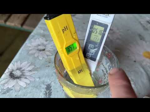 Видео: Як правильно підживлювати Полуницю щоб не нашкодити і був результат☝️