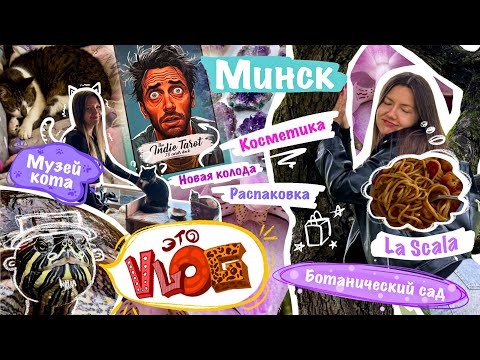 Видео: Vlog из Минска. Музей кота, La Scala, эзотерические магазины, ботанический сад, обзор покупок