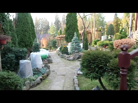 Видео: ПОДГОТОВКА САДА К ЗИМЕ-2021 г