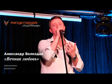 Видео: "Вечная любовь" Александр Волкодав "Гнездо глухаря" Санкт-Петербург 10.02.24 #питер #charlesaznavour