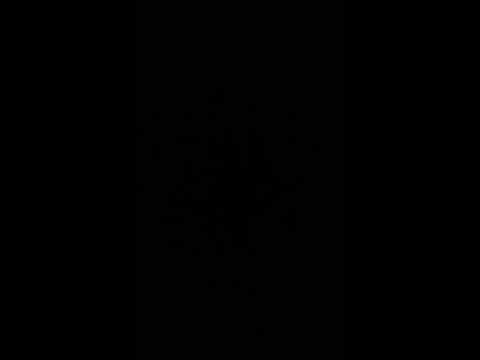 Видео: Процесс Диккенса