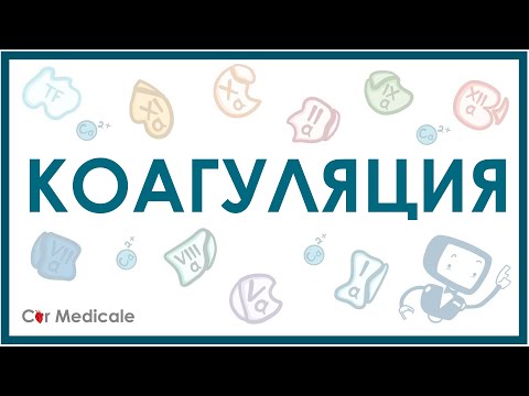 Видео: Коагуляция или вторичный гемостаз: механизм, факторы свертывания, пути и этапы