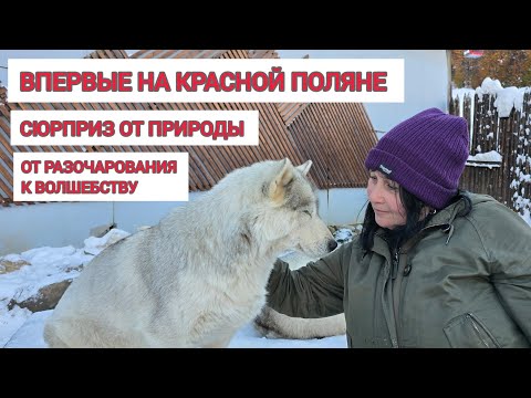 Видео: КРАСНАЯ ПОЛЯНА. Что посмотреть за один день в межсезонье