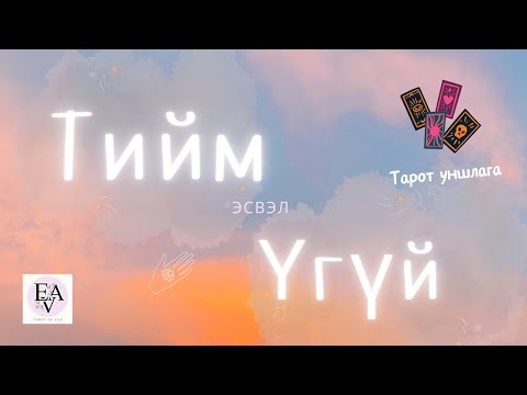 Видео: ТИЙМ / ҮГҮЙ богино хариулт бүхий 🔮 Тарот уншлага 🔮 Threes