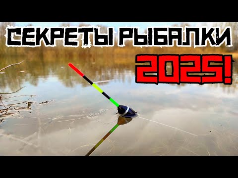 Видео: ТАЙНЫЙ ЗАПАХ ПРИМАНИЛ ЭТО!!! Не думал, что ПОПРЁТ КРУПНЯК! Рыбалка 2025.