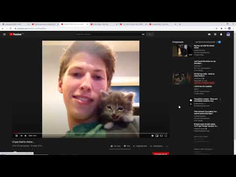 Видео: dawg смотрит мемы и видосы  (пут, онисама, 23.09.2020)