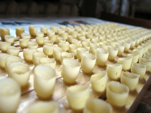 Видео: 200 прививочных мисочек за 5 минут